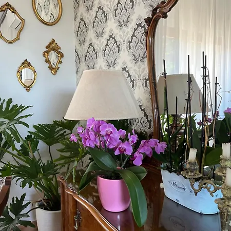 Bed & Breakfast Residenza Salge