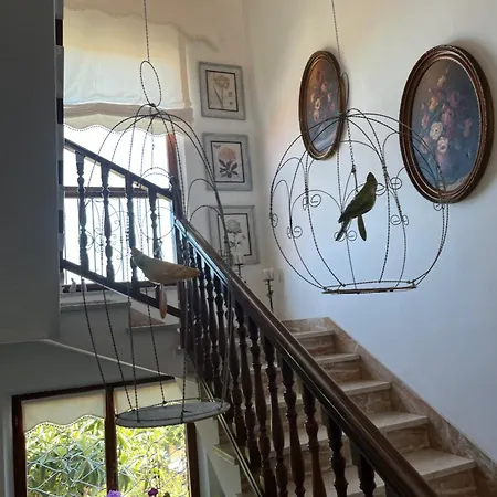 Bed & Breakfast Residenza Salge