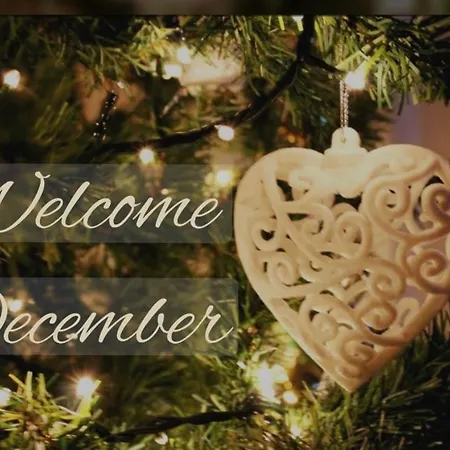 Bed & Breakfast Residenza Salge *