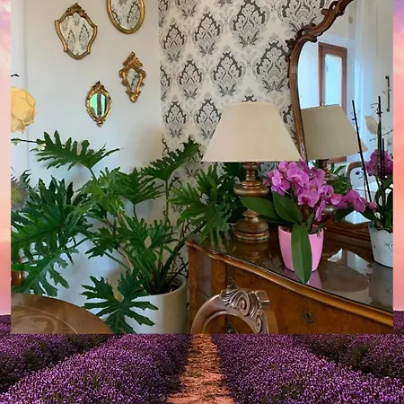 Residenza Salge *